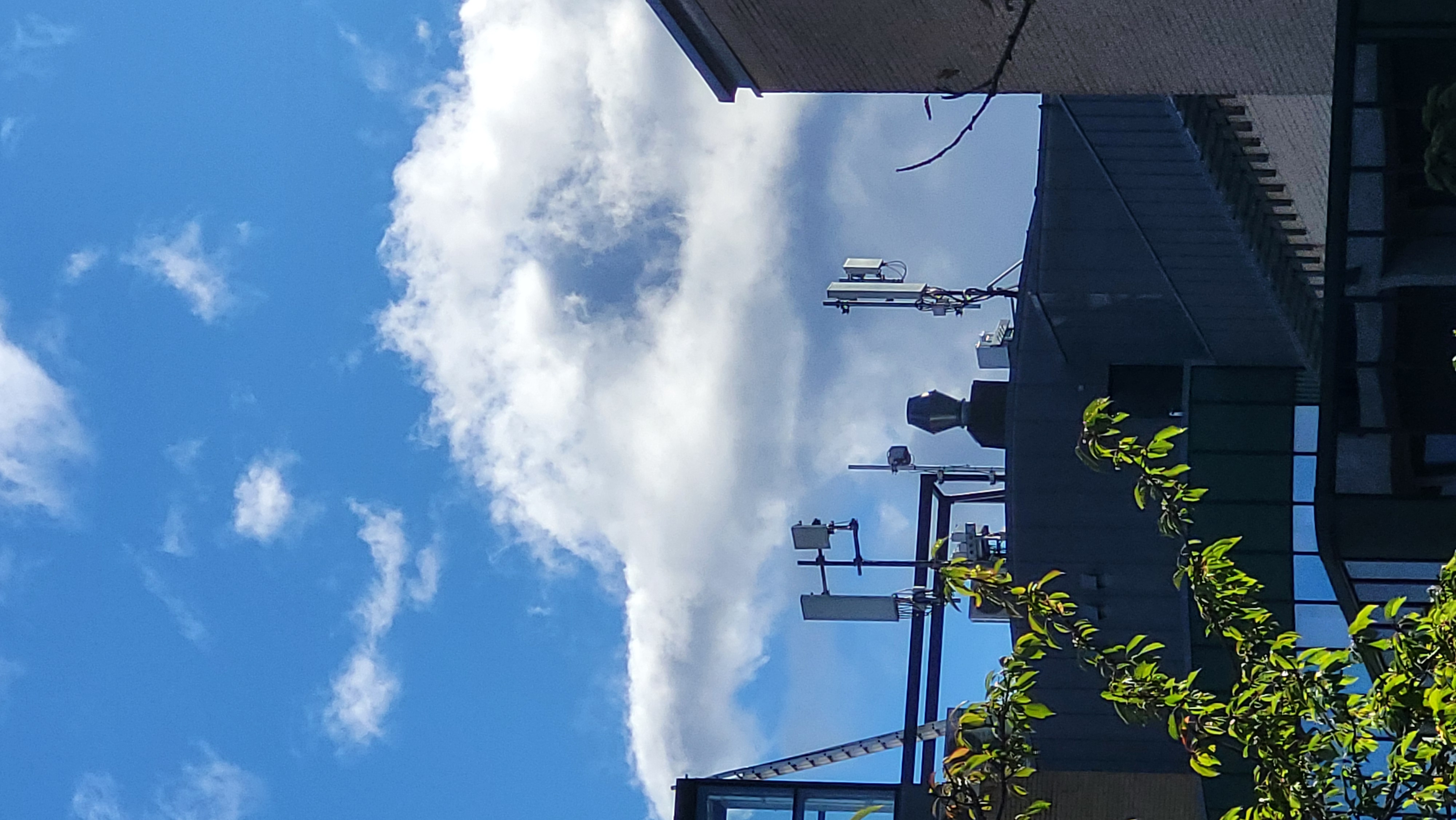 Cloud formation resembling a bird in flight