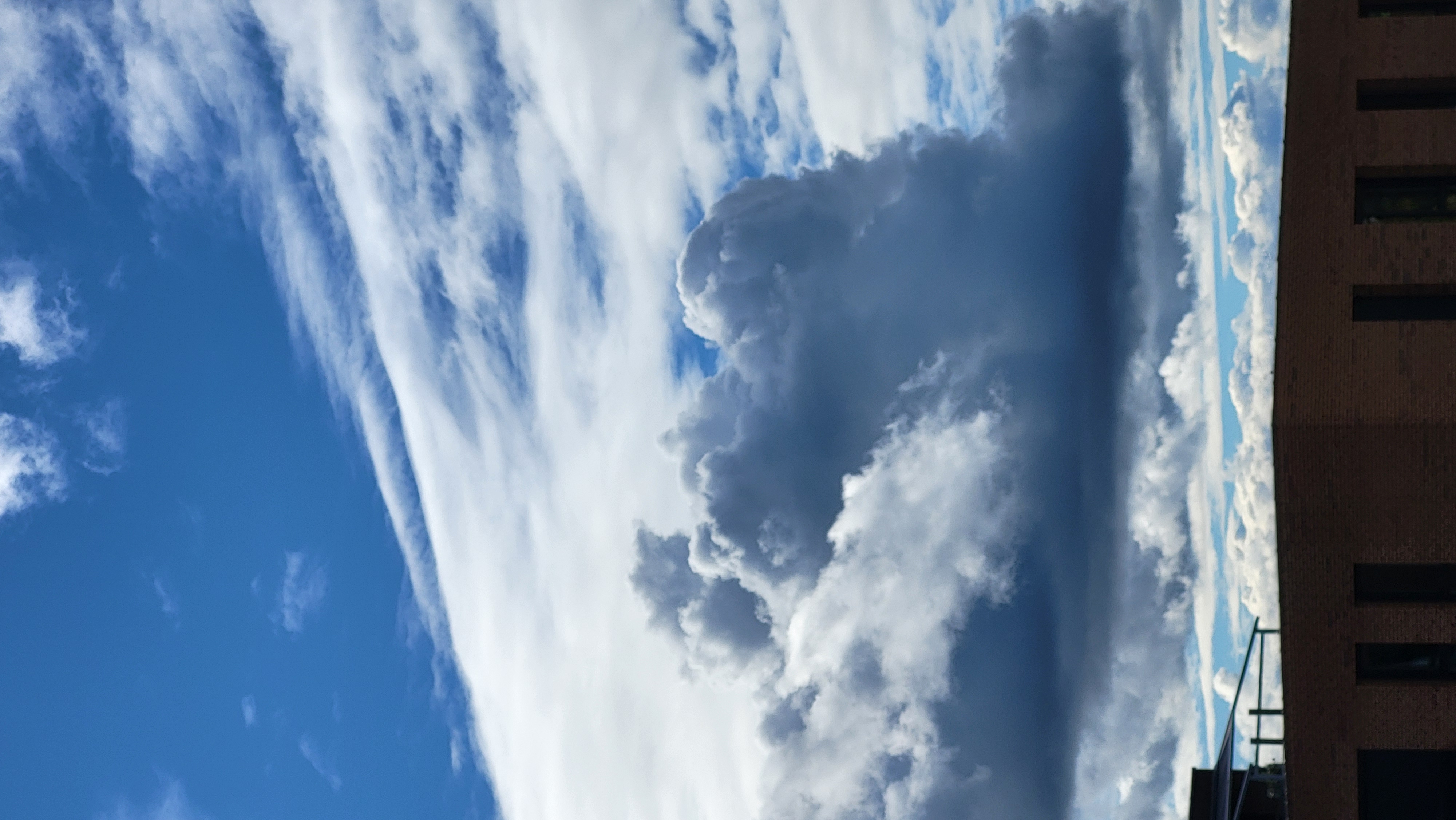Cloud formation resembling a bear