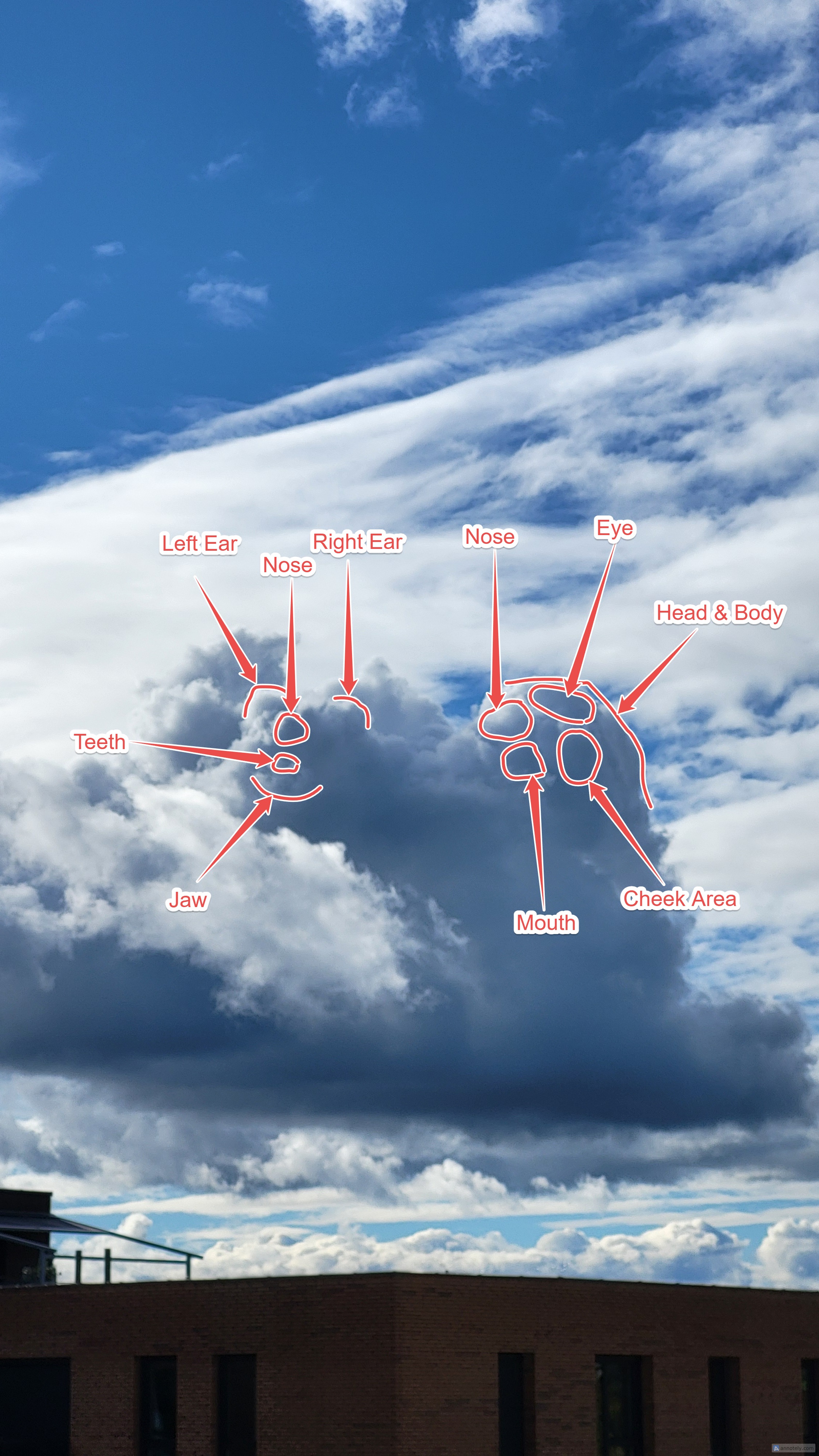 Cloud shapes outline showing bear