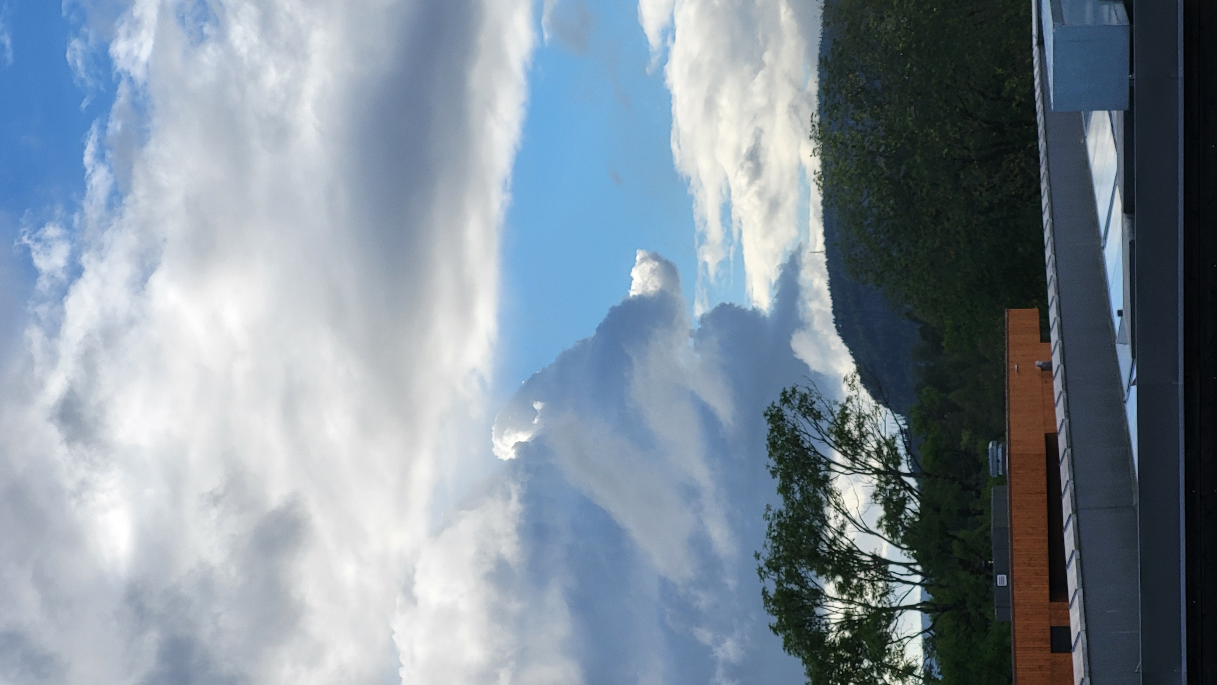 Cloud formation resembling a fox